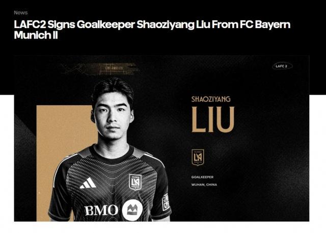 C官方消息, 了点评