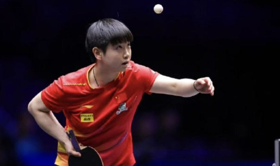 高达, 颖莎成功兑