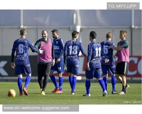 布鲁马与卡尔马实力对比分析及比赛前景展望